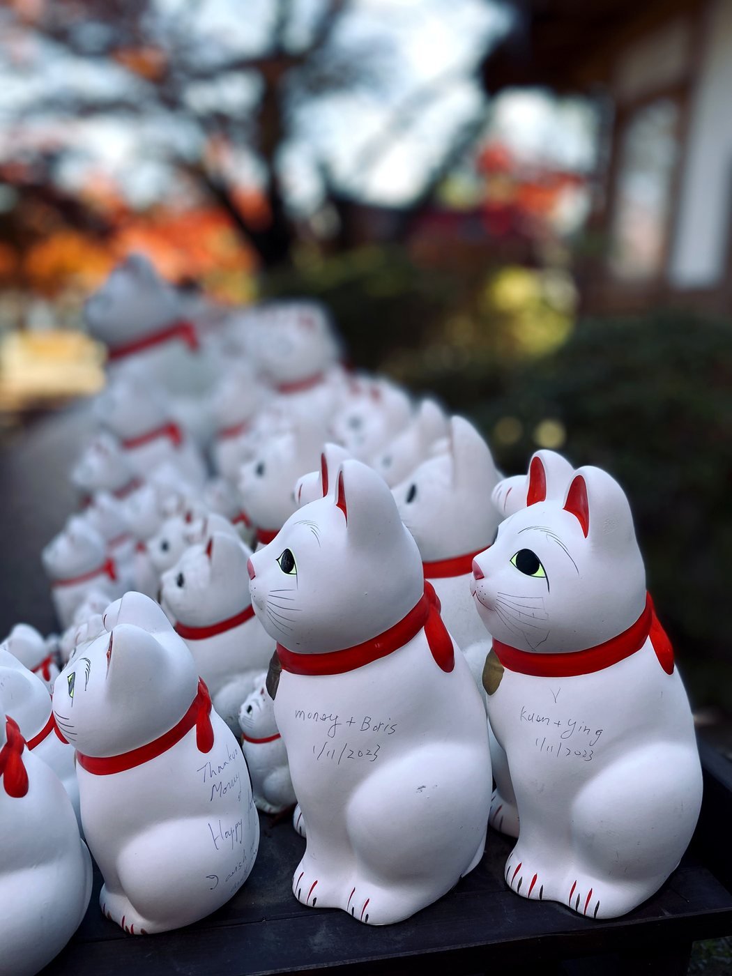 Rows of lucky cat figures