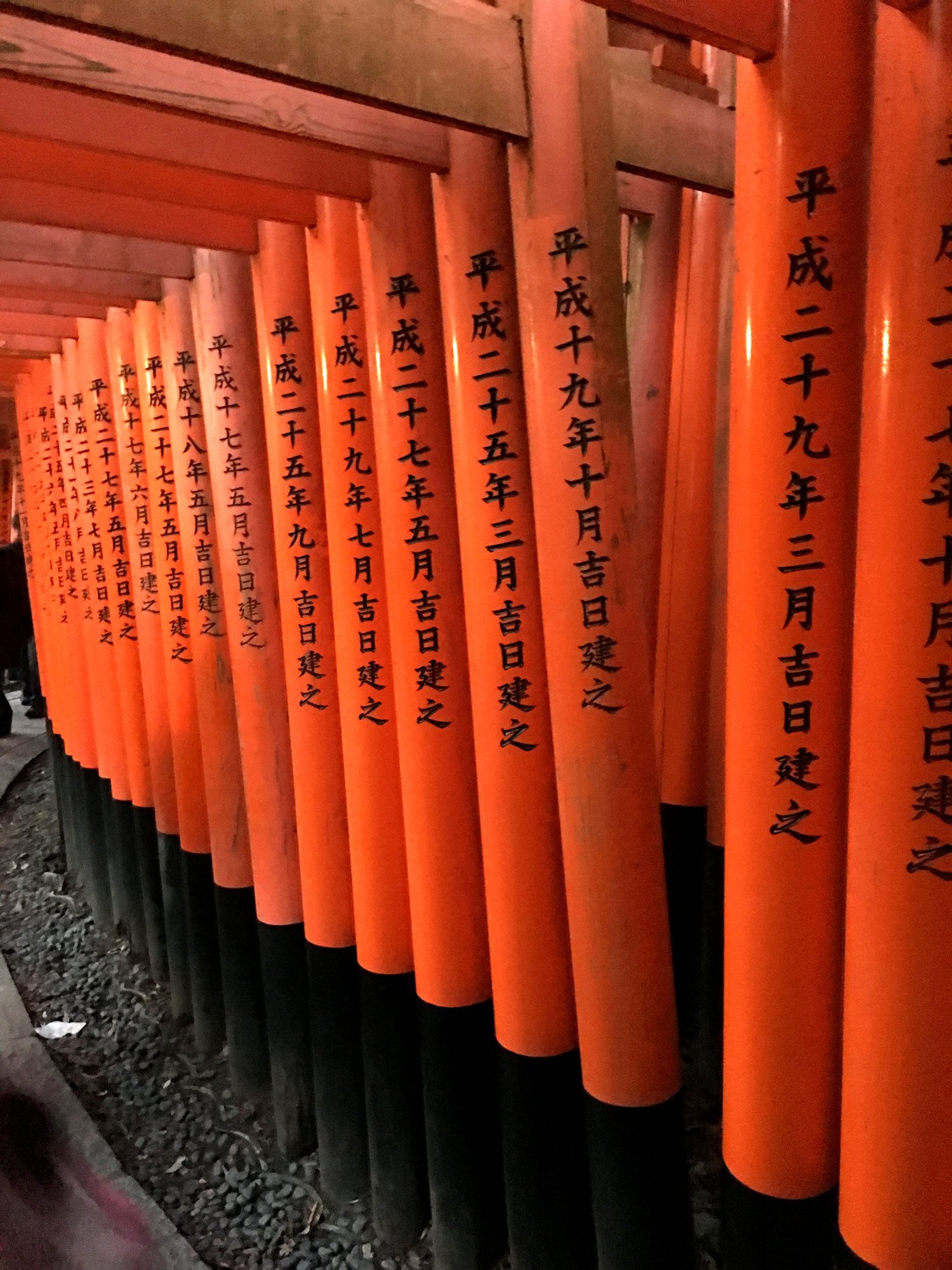 Vermilion torii gates